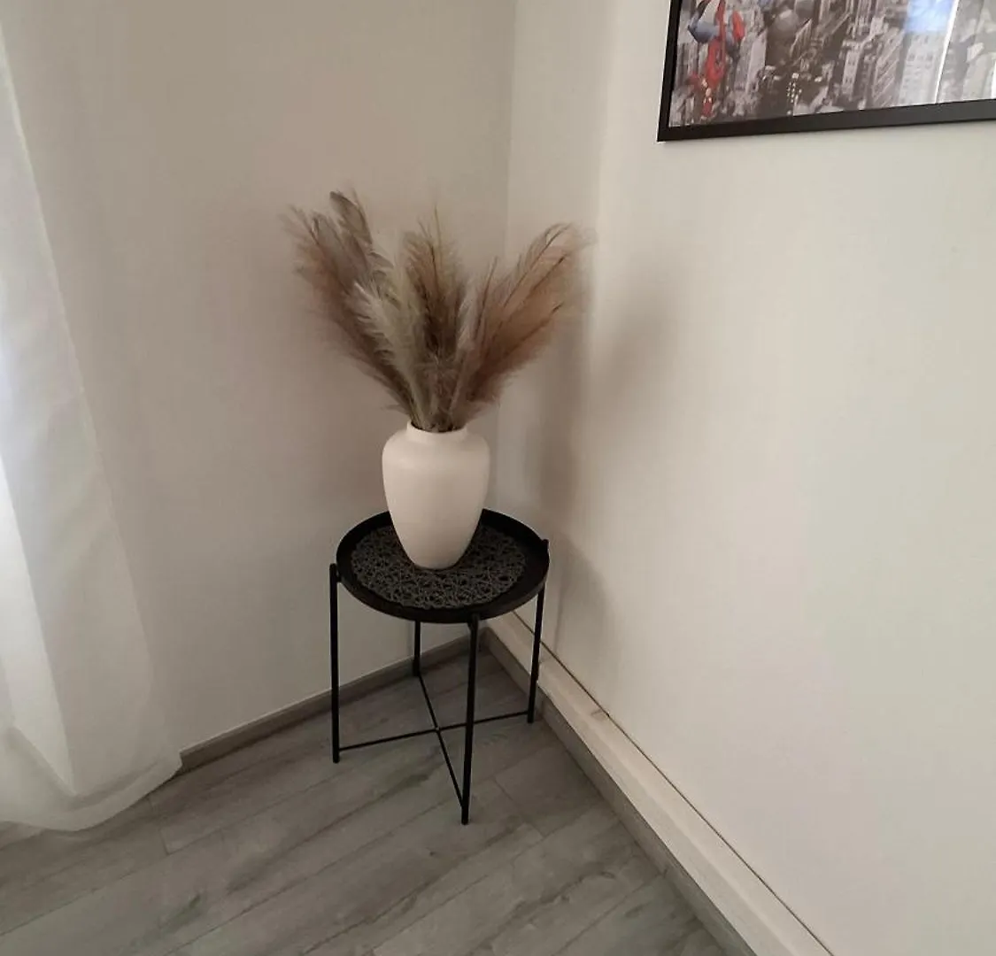 Apartman Darija Pazin Apartment